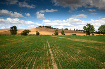 Beautiful landscape near crete senesi. Blue Cloudy sky. Asciano (Siena). Italy.