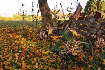 Autumn in France