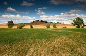 Obraz premium Beautiful landscape near crete senesi. Blue Cloudy sky. Asciano (Siena). Italy.