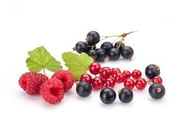Blackcurrants with raspberries
