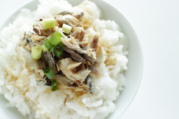 Japanese food, grilled mackerel flake and soy sauce on rice