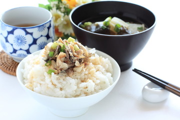 Japanese food, grilled mackerel flake and soy sauce on rice