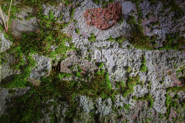 Old cracked brickwork made of red brick and partly covered with green moss and vegetation