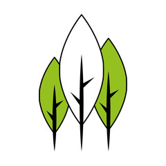 tree plant forest icon vector illustration design