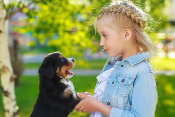 Little girl with a berner sennenhund puppy, outdoor, summer