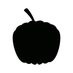 ripe pumpkin harvest vegetable food garden