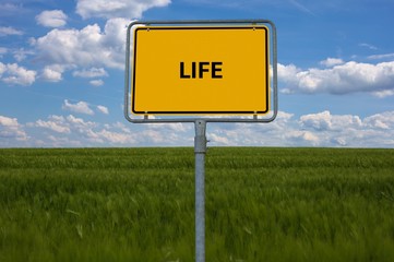 Obraz premium LIFE - image with words associated with the topic COMMUNITY OF VALUES, word, image, illustration