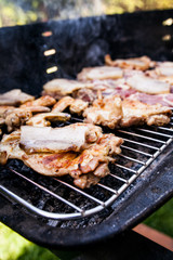 Fresh Meat And Vegetables On Outdoor Grill