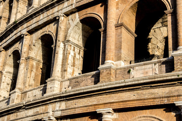 Colloseum