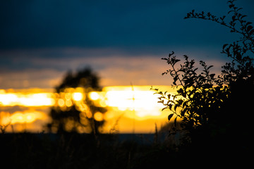 evening sunset