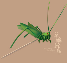 Old Chinese kid's toy: Straw plaiting grasshopper