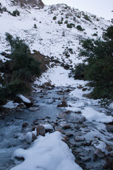 River in the winter