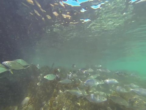 Swimming underwater