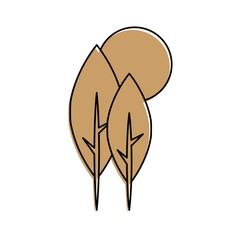 tree plant forest icon vector illustration design
