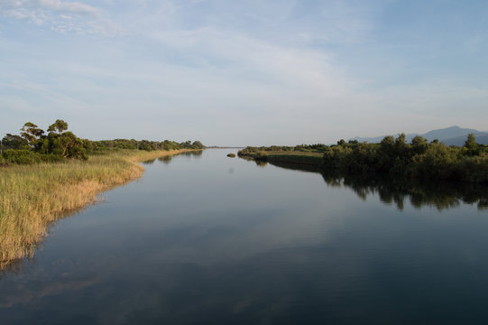 etang de biguglia marana corse