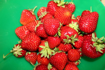 Lecker: Frische, köstliche Erdbeeren in einer Schüssel