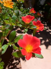 Photo by Adam Tiernan Thomas