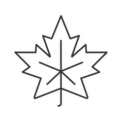 Maple leaf linear icon 