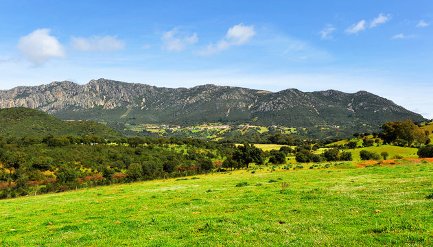 Parque Natural del Valle de Alcud&iacute;a y Sierra Madrona, provincia de Ciudad Real, Espa&ntilde;a
