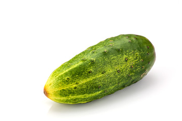 Cucumber