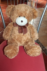Plüschtier: Niedlicher Teddybär auf einem Sessel