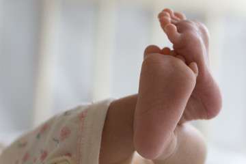 Naklejka premium Baby's foot