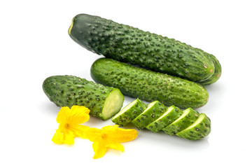 Cucumber