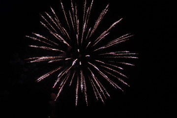 Firework