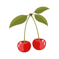 white background with colorful realistic cherries with stem and leaves vector illustration