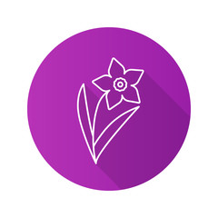 Daffodil flat linear long shadow icon