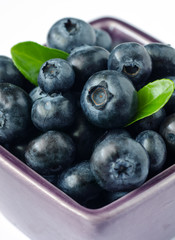 Fresh Blueberries