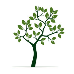 Green Tree with Leaves. Vector Illustration.