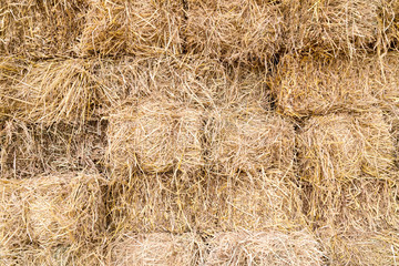 rice straw background