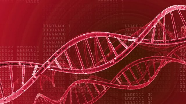 DNA data connectivity, medical background 