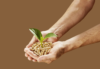 Man holding wood pellets with a young seedling