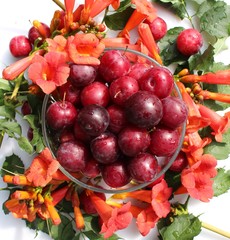 Plums and flowers