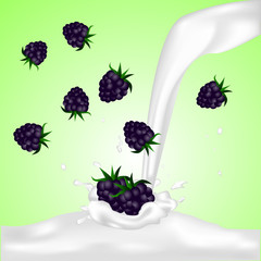 Blackberries falling into the milky splash