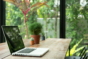 Blank laptop screen and plant on wooden