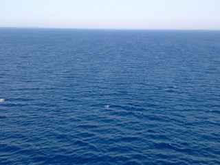 cruise