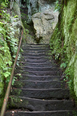 Fototapeta premium Wandertreppe im Kirnitzschtal