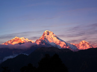 Naklejka premium Panorama of mount Annapurna South - view from Poon Hill on Annapurna Circuit Trek, Nepal Himalaya