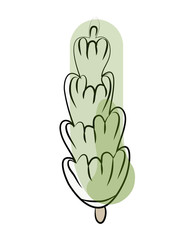 Fototapeta premium Green cypress tree sketch. Vector illustration, isolated on white background.