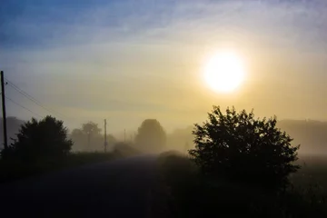 Foto auf Leinwand Foggy sunrise on the road © Владимир Бутенко