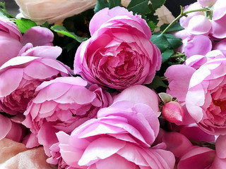 Bouquet of garden rose fabric.