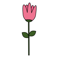 cute flower decorative icon vector illustration design