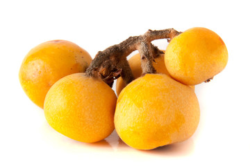 Ripe loquat or Eriobotrya japonica with leaf isolated on white background