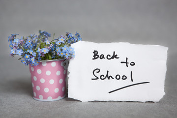 Back to school with blue flowers on gray