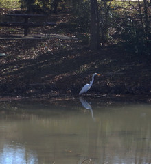 Galatyn Woodland Preserve