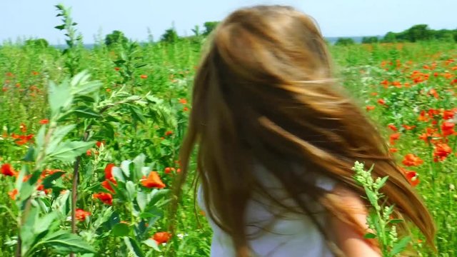 Cute little girl playing in red poppies field sunny day, slow motion view