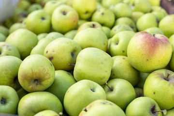Fresh organic green apples